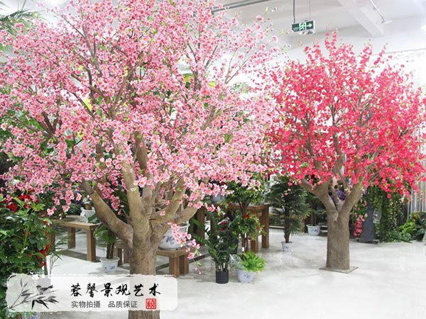 桃花树
