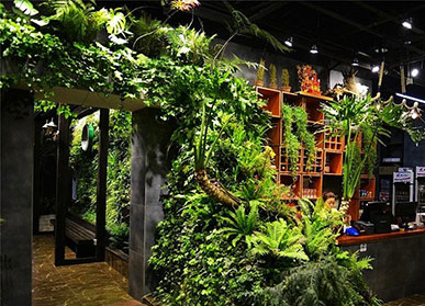 成都室内植物墙