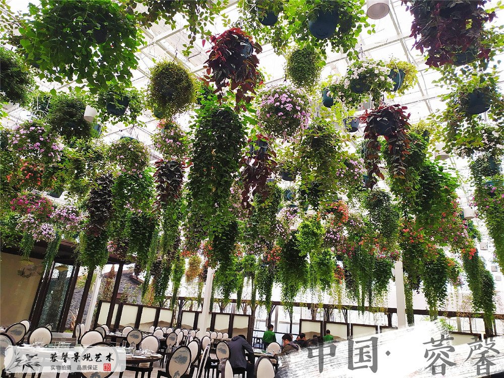 生态餐厅打造案例 (2)