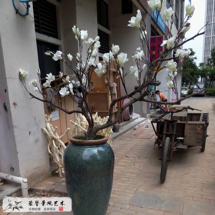 仿真玉兰树