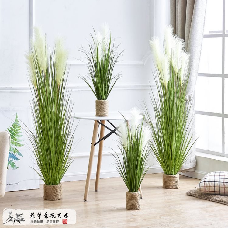 仿真芦苇