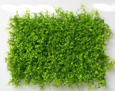 蓉馨景观植物墙