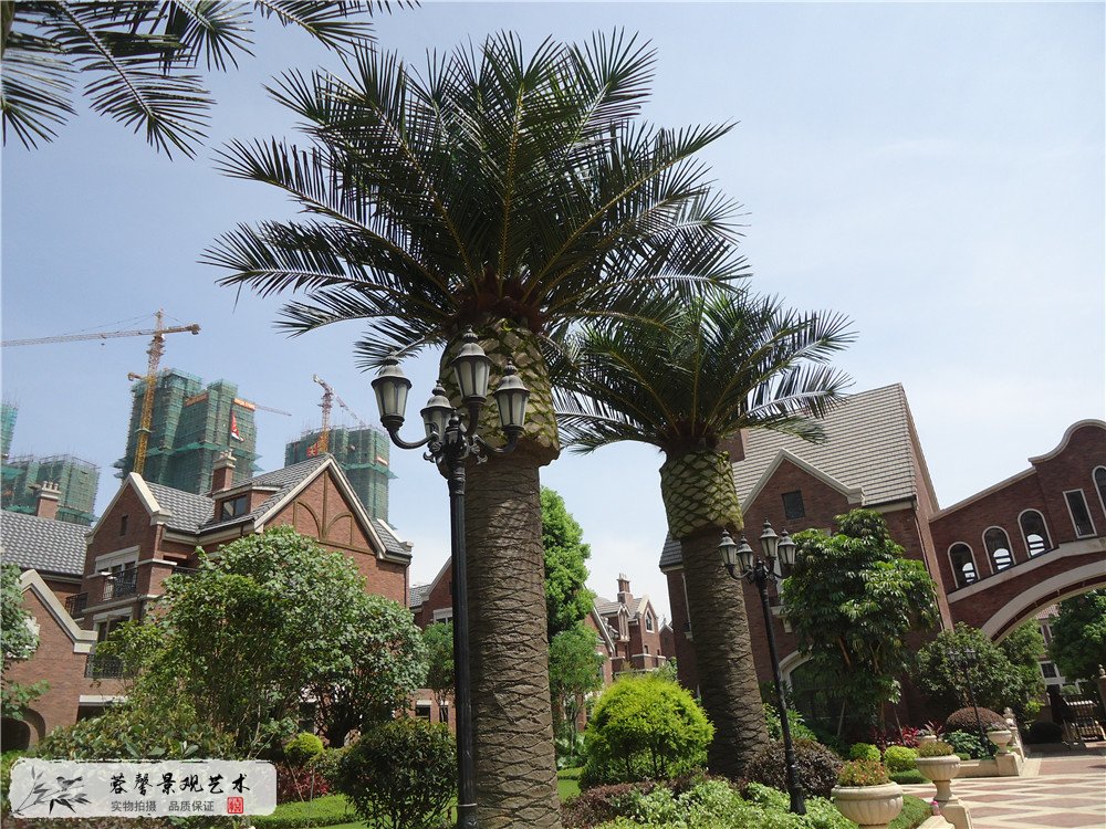 城市立体绿化发展方向