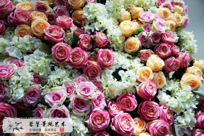 玫瑰花墙