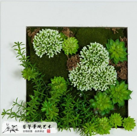 仿真多肉植物墙