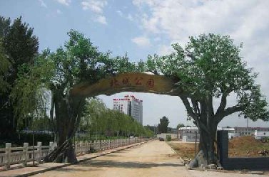 水泥仿真树制作