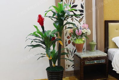 常见的仿真植物