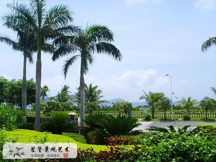 仿真椰子树基站