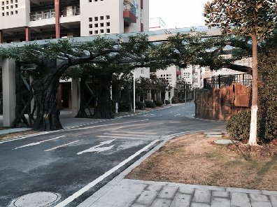 沙河温泉小镇仿真树