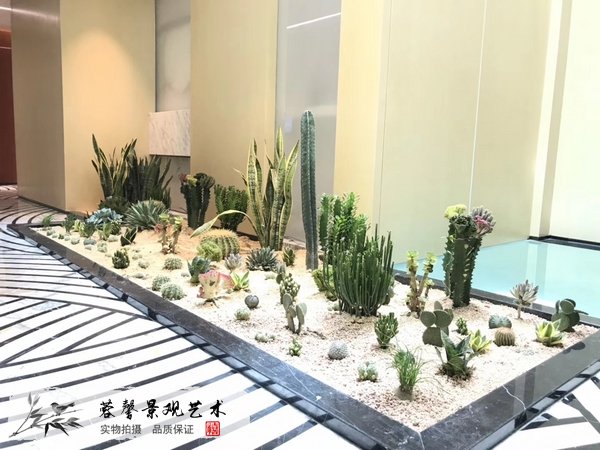 仿真树优势