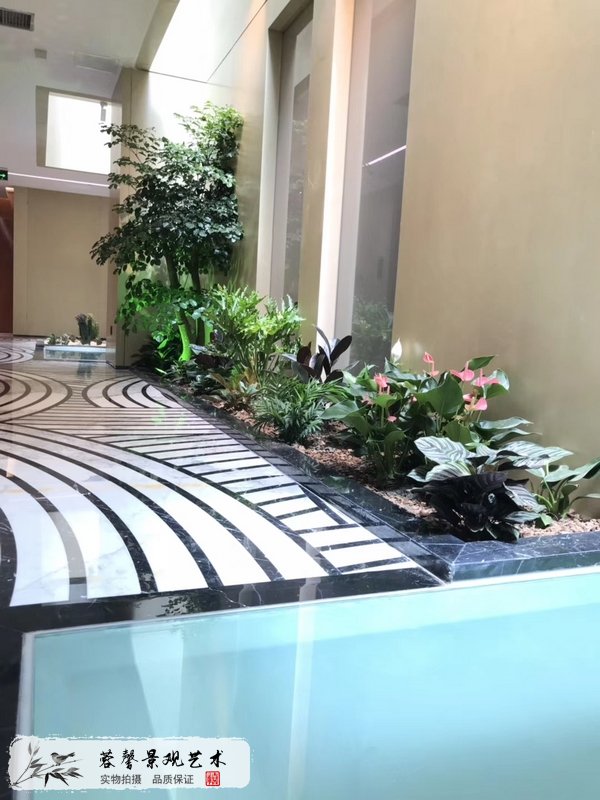仿真树优势