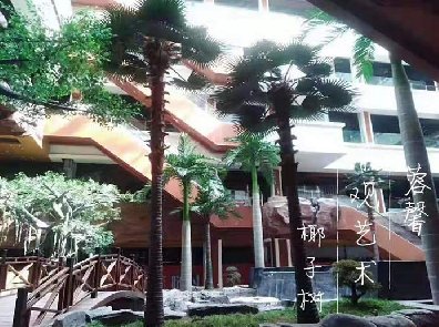商场仿真椰子树