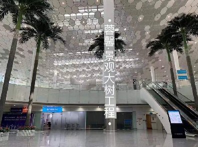 机场仿真椰子树
