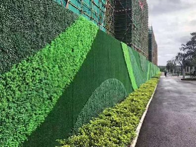 植物墙杀虫