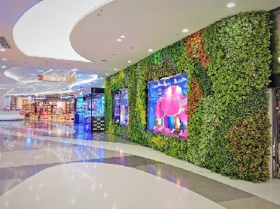 室内商场植物墙