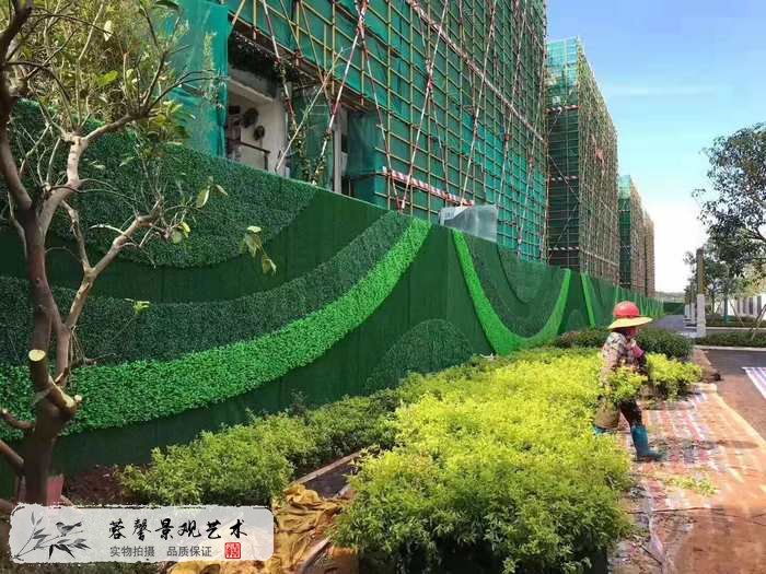 植物墙