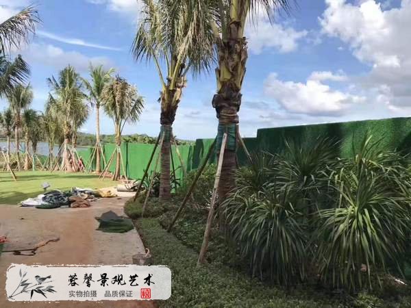 仿真植物墙制作