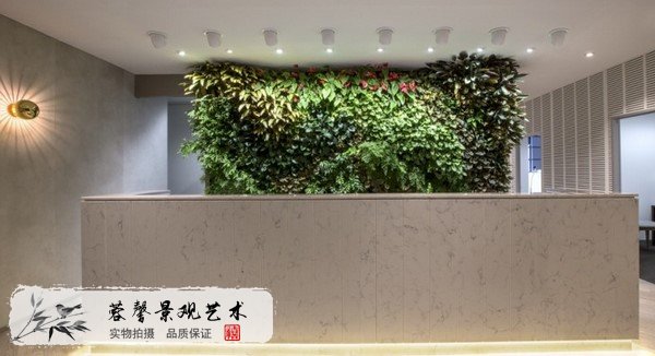 室内植物墙