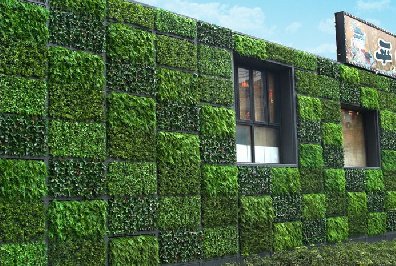 仿真植物墙市场