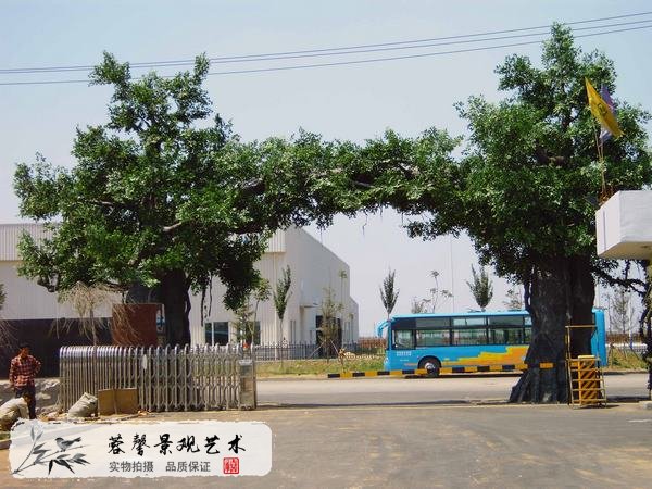 榕树大门.jpg