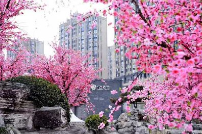 效果逼真的仿真桃花树