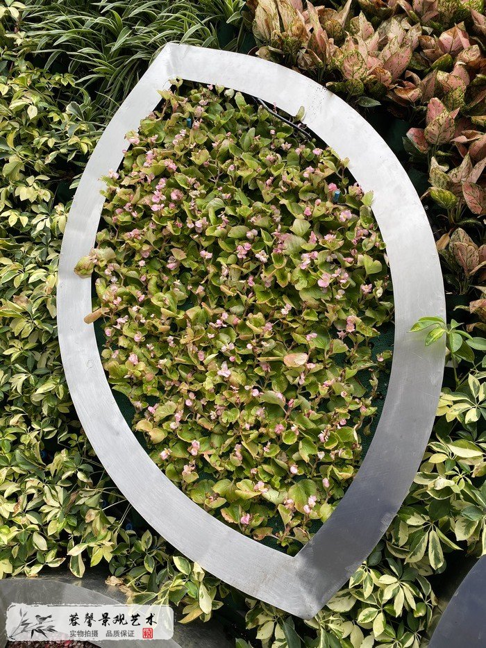 花艺展垂直绿化