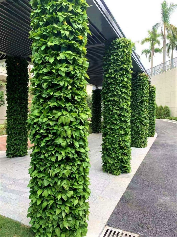 工业园植物墙