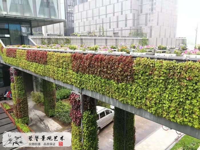 大型室外植物墙
