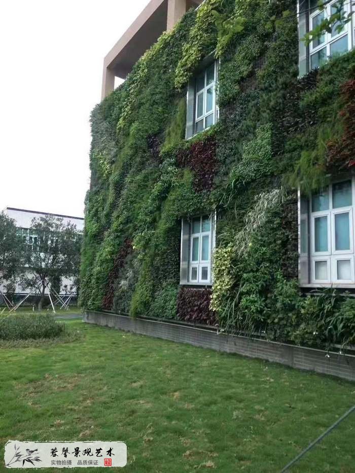 大型室外植物墙