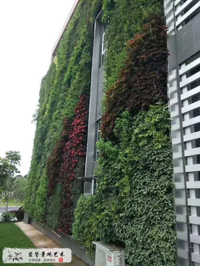 大型室外植物墙