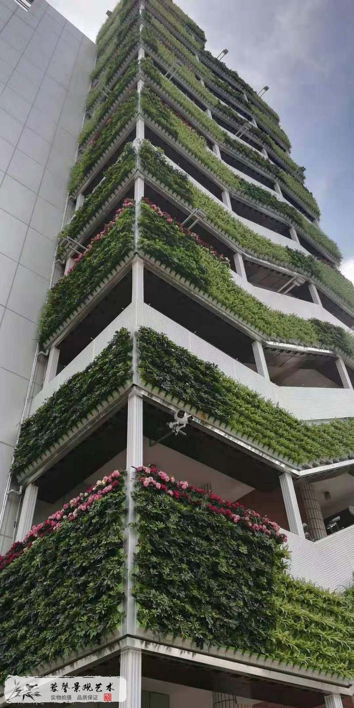 大型室外植物墙