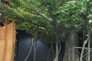 仿真榕树的美观和实用