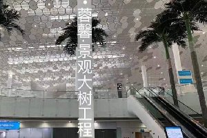 仿真树分类