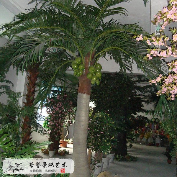 室内仿真椰子树