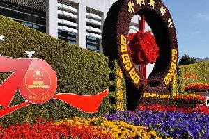 节日仿真绿雕