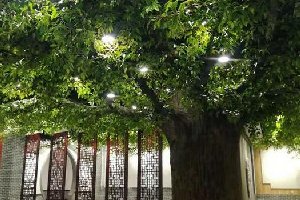 仿真榕树应用