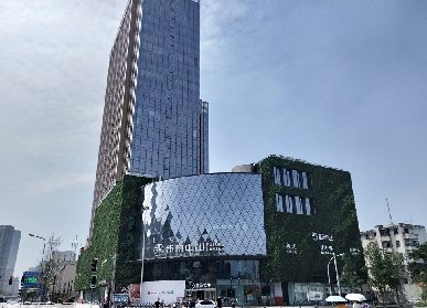 商场植物墙