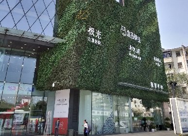 室外植物墙