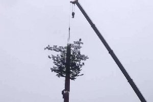 通信基站仿真树