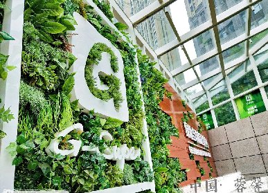 世贸大厦仿真植物墙