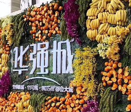 华强城水果植物墙