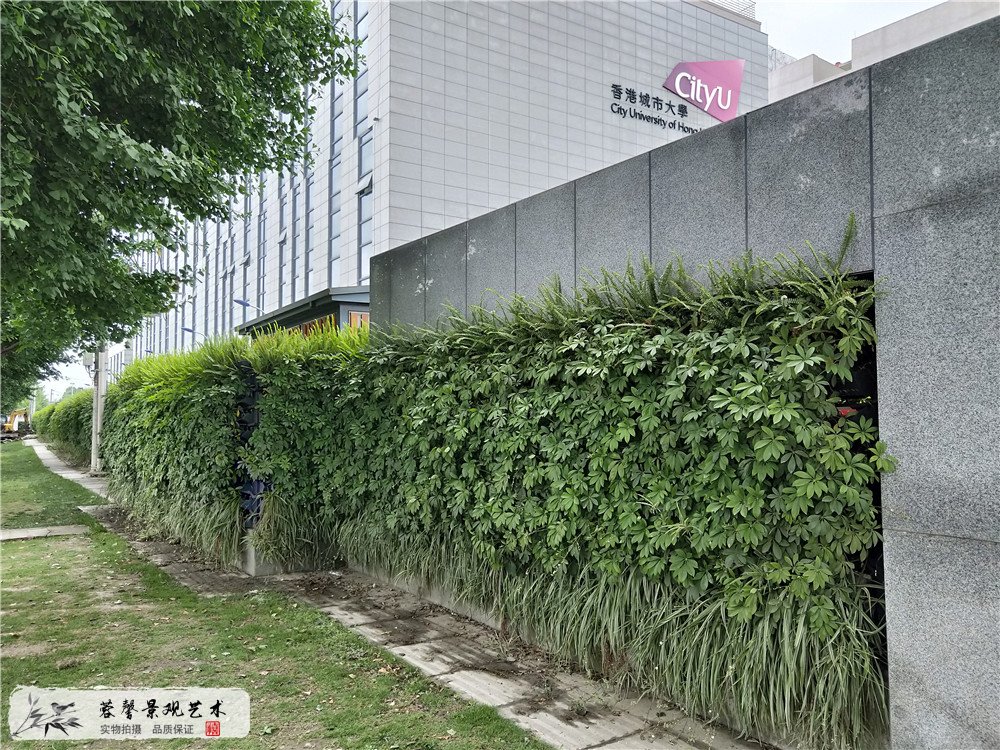 成都双流区香港城市大学研究所立体植物墙制作 (1)