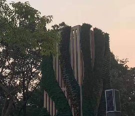 深圳艺术植物墙