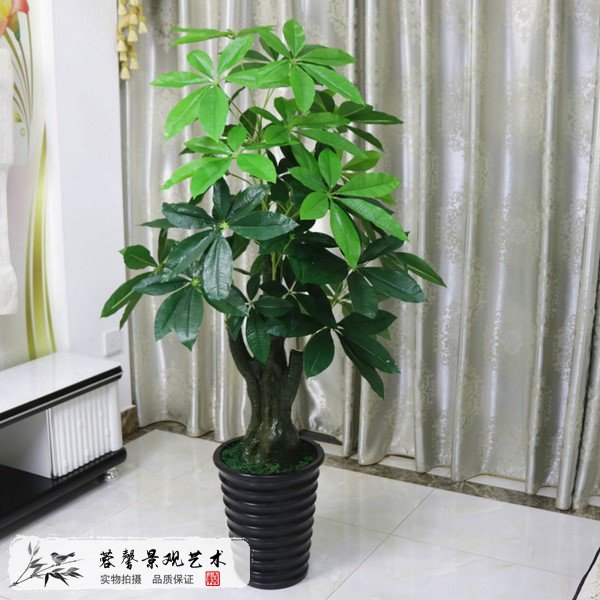 仿真发财树价格