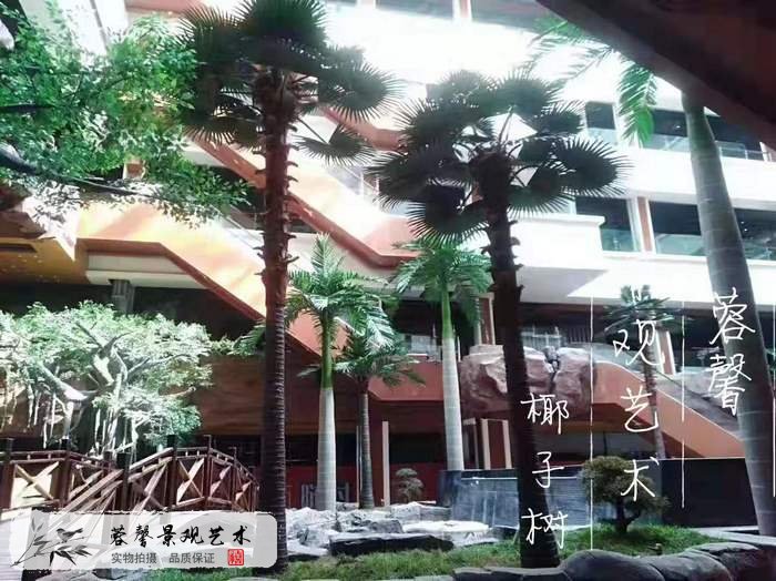 南亚热带风情