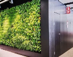 仿真植物墙保养