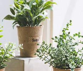 仿真植物室内装饰