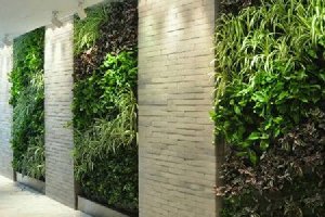 仿真植物墙越来越受欢迎
