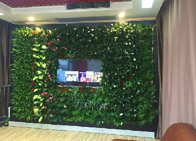 办公室电视背景植物墙