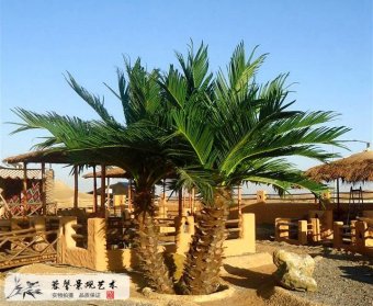 仿古仿真棕榈树